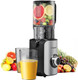 Juicer Machines Ter Cold Press Juicer With 5'' Wide Chute Stainless Steel Slow Masticating For Vegetables & Fruits High Juice Yield Easy To Clean Includes 2 Cups Silver
