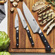 Zwilling Pro 3-Pc Starter Knife Set 3-Inch Paring 5-Inch Serrated Utility 8-Inch Chef’S Knife Full Tang And Handle Are Triple Riveted Made In Germany