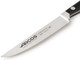 Arcos Series Clasica-Knife Set 6 Pieces (6 Steak Knives) -Blade Nitrum Forged Stainless Steel-Handle Polyoxymethylene (POM) Black Colour ands Plastic