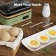 Rapid Egg Cooker with 1.7L Electric Kettles （retro green）
