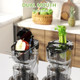 Cold Press Juicer Machines 2-in-1 Masticating Juicer for Juice & Ice Cream 200W Touchscreen Slow Juicer Extractor with 3.2" Feed Chute for Fruits and Vegetables Easy to Clean with Brush