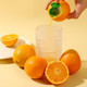 2PCS Mini Lemon Squeezer Screw Top Lemon Juicer Squeezer Portable Lime Squeezer with Lid Manual Citrus Press Easy to Make Juice from Fruits