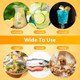 2PCS Mini Lemon Squeezer Screw Top Lemon Juicer Squeezer Portable Lime Squeezer with Lid Manual Citrus Press Easy to Make Juice from Fruits