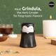 OTOTO Grindula Herb Grinder - Dracula Gothic Manual Spice Grinder for Kitchen Halloween Mini Spice Grinder Unique Kitchen Gadgets Goth Accessories Spooky Goth Kitchen s Black