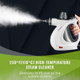 Pressurized Handheld Multi-Surface Natural Steam Cleaner with 12 pcs Accessories Multi-Purpose Steamer for Home Use Steamer for Cleaning Floor Upholstery Grout and Car