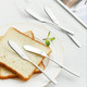 VANRA Cheese Spreader Knife Set 4-Piece Stainless Steel Butter Knife Small Sandwich Condiment Jam Bread Cream Canape Knives Spatula 6.5-inch