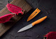 Paring knife 4PCS Paring knives (4 Knives and 4 Knife cover) 4 Inch Peeling Knife Fruit and Vegetable Knife Ultra Sharp Kitchen Knives German Steel PP Plastic Handle