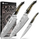Damascus Knife Set 3 Pcs: Ultra-Sharp Professional Chef Knife Set Japanese Kitchen Knives With Vg10 Steel Core Full Tang Resin Handle Elegant Box
