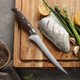 Bazil 7-Inch Fillet Knife For Fish And Meat – Ultra Sharp Full Tang Boning German High Carbon Stainless Steel Fish Fillet Knife – Professional & Home Use