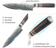 Bigsun Chef Gyutou Knife 67 Layers Vg 10 Forged High Carbon Damascus Steel Kitchen Cooking Knives With Resin Honeycomb Design Handle (8 Inch Chef Knife Brown)