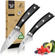 Paring Knife 3.75 Inch Fruit Knives Small Kitchen Knife Ultra Sharp German Stainless Steel Vegetable Knives Damascus Pattern Full Tang Handle Design Elegant Black Ideal For