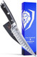 Dalstrong Fillet Knife - 6 Inch - Gladiator Series Elite - High Carbon German Steel - Black G10 Handle - Sheath Included - Razor Sharp Kitchen Knife - Boning Knife - Nsf