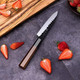 Findking Dynasty Series 5" Kitchen Utility Knife And 8" Chef Knife High Carbon Clad Steel Octagonal Handle Kitchen Knives