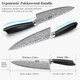 8 Inch Chef Knife Ultra Sharp High Carbon Powder Steel Kitchen Knife Professional Japanese Chef'S Knife & Magnetic Knife Strips Magnetic Knife Holder For Wall 16 Inch
