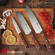 4Pcs Chef Knife Setgermen High Carbon Stainless Steel Kitchen Knife Setprofessional Knife Set Natural Wood Full Handle Tang With Gife-Box