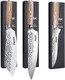Huusk Japan Knife Set Butcher Knife With Chef Knife And Boning Knife For Meat High Carbon Steel Hand Forged Knifesteel Sentinel Series