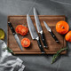 5 Piece Damascus Knife Block Set 67-Layer High Carbon Damascus Steel Ultra-Sharp Kitchen Knife Set With Magnetic Wooden Block