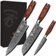 Damascus Kitchen Knife Set 3 Pieces Chef Knife/Santoku/Steak Handmade Damascus Stainless Steel Kitchen Knife Ergonomic Pakka Wood Handle