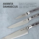 Messermeister Avanta Damascus Forged 3-Piece Pakkawood Starter Set - Includes 8” Chef’S 6” Utility & 3” Paring Knife
