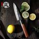 Mitsumoto Sakari Japanese Gyuto And Paring Knife Professional Hand Forged Kitchen Chef Knife