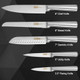 Numola Kitchen Knife Set 5 Piece Kitchen Knife With Ergonomic Handle Sharp Chef Knife Set Professional Stainless Steel Cooking Knife Set For Couple (Silvery) Numola Kitchen Knife Set 5 Piece Kitchen Knife With Ergonomic Handle Sharp Chef Knife Set Professional Stainless Steel Cooking Knife Set For Couple (Silvery)