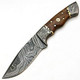 9568-Sjpm - Handmade Damascus Steel Knife - Solid Rose Wood Handle