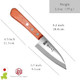 Seki Japan Tomihide Japanese Knife Fishing Fillet Knife Small Deba Knive 95 Mm (3.7 Inch) Stainless Steel Cutlery With Wood Handle For Camping Outdoor Home Kitchen