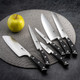 Richardson Sheffield Fn180 Vulcano Professional Chef Knife 10" Stainless Steel Nsf Approved