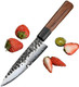 5 Inch Japanese Utility Knife - Chef Knife Hss Japan Stainless Kitchen Knife - Pro Forged Chef'S Knives (Rosewood Handle & Box)