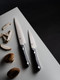Shun Narukami 4" Paring Knife Handcrafted Japanese Vegetable & Fruit Knife Blue Ii Carbon Steel Core And San Mai Stainless Steel Cladding Micarta Handle Small Kitchen Tool
