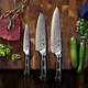 Knife Set 3 Pcs Professional Damascus Chef Knives 67 Layer Japanese Aus10 Steel Core Forged Kitchen Knives Well-Balanced Full Tang Handle Triple Rivet Handle - Black Box