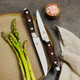 Kitchen Knife Set For Parents' Day - 4 Piece Kitchen Chef Knife Set - Unique Present In Wooden Box - Stainless Steel Ultra Sharp Knives Set – Wooden Handles Knives