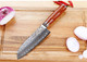 Sunlong Santoku Knives 7 Inch Pro Chef Knife Japanese Hammered Damascus Steel Natural Bloodwood Handle
