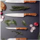 Tramontina Kitchen Knife Set (4 Pcs.)