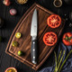 Tuo Utility Knife - 5 Inch Kitchen Chefs Knife - Meat Fruit Vegetable Knife Paring Knife - German Hc Steel - Full Tang Pakkawood Handle - Black Hawk Series With Box