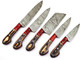 Professional Damascus Chef Knife Set Custom Handmade Kitchen Knife Set - Ergonomic Wood Handle For Home Cooks & Chefs With Leather Roll/Pouch 9010 Multiple Brown