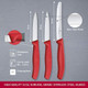 Victorinox Swiss Classic Paring Knife Set Set Of 3 Straight Edge Extra Sharp Robust Plastic Handle Red