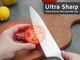 Wellstar Chef Knife With Sheath Sharp Kitchen Knife 8 Inch Cooking Knives With German Hc Steel - Silver