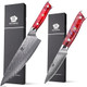 Wildmok Chef Knife And Paring Knife 8 Inch Damascus Japanese Chef Knife Dditional 3.5 Inchdamascus Paring Knife