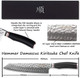 Yousunlong Tanto Chef Knife 10 Inch Japanese Damascus Steel - Natural Leadwood Handle With Leather Sheath Yousunlong Tanto Chef Knife 10 Inch Japanese Damascus Steel - Natural Leadwood Handle With Leather Sheath