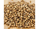 Coriander Seed Coriander Seed
