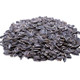GERBS Unsalted Whole Sunflower Seeds 14 oz. Resealable Bag | Top 14 Allergy Free | Healthy Superfood Snack | Crack shell eat Kernel | Grown in USA GERBS Unsalted Whole Sunflower Seeds 14 oz. Resealable Bag | Top 14 Allergy Free | Healthy Superfood Snack | Crack shell eat Kernel | Grown in USA