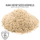 Raw Hemp Seed Kernels (Hearts) by Gerbs- Top 14 Food Allergy Free & NON GMO