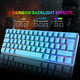 60% Wired Mechanical Gaming Keyboard, Rainbow LED Backlit Compact Mechanical Keyboard, Linear Red Switches, TKL Wired Keyboard, RGB Mouse 6400 DPI, Programmable for PC Gamers and Office Typists (Blue)