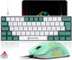 MAGIC-REFINER 60% Wired Mechanical Gaming Keyboard and Mouse Combo, Ultra-Compact 62 Keys RGB Backlit Red Switch Computer Keyboard with PBT Keycaps,12000DPI Lightweight Mouse for PC/Mac Gamer