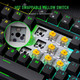 RK ROYAL KLUDGE R87 Mechanical Keyboard, 75% Layout Hot Swappable Wired Gaming Keyboard Software Macro Compact RGB Backlit PC Game Keyboards 87 Keys for Win Mac, Yellow Switch-Black RK ROYAL KLUDGE R87 Mechanical Keyboard, 75% Layout Hot Swappable Wired Gaming Keyboard Software Macro Compact RGB Backlit PC Game Keyboards 87 Keys for Win Mac, Yellow Switch-Black