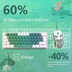RK-T60 Wired Mechanical Gaming Keyboard and Mouse Combo Portable with Rainbow Backlit 62Key NKRO 6400DPI RGB Honeycomb Mice for PS4/PC/WIN Gamer(Green/Blue Switch)