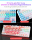 Bajeal Mechanical Keyboard,Hotswap 87 Keys Keyboard,USB Wired Blue Switch Keyboard Shine-Through Keycaps,RGB Backlit Gaming TKL Tenkeyless Keyboard (White Blue)