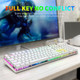 HUO JI E-Yooso Z-88 RGB Mechanical Gaming Keyboard USB Wired, Customizable RGB Backlit, Blue Switches - Clicky, Metal Panel, 104 Keys for Mac, PC, Silver+White