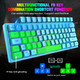 ZIYOU LANG K61 60% Gaming Keyboard Mini Portable with Rainbow RGB Backlit Ergonomic 62Key Layout 19Key Anti-ghosting Mechanical Feel Waterproof USB Wired for PC Mac Windows Gamer Laptop Typists(Blue)